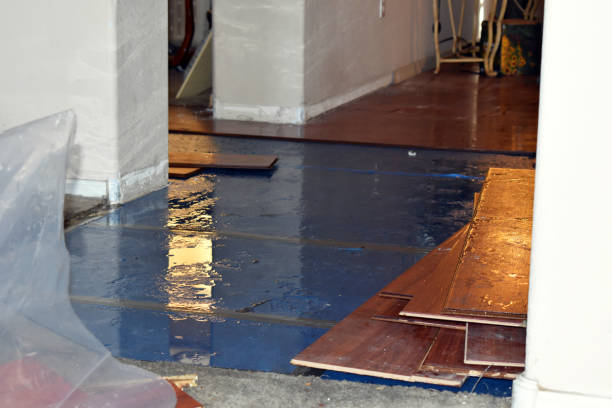 Professional Sewage Cleanup technician working in Albion, IL