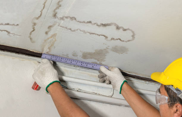 Reliable Sewage Cleanup contractor in Albion, IL by Water Damage Irwin